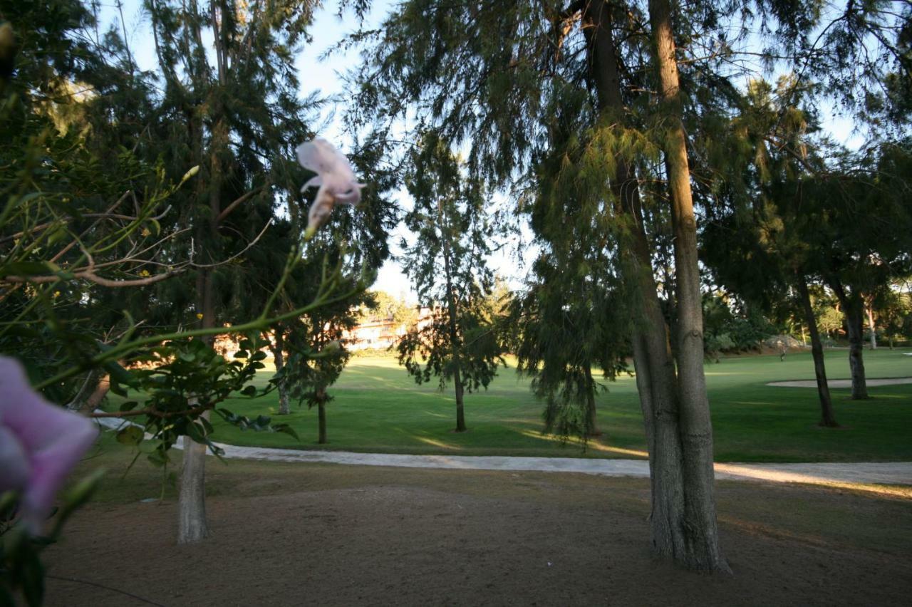 Greenlife Village Marbella Eksteriør billede